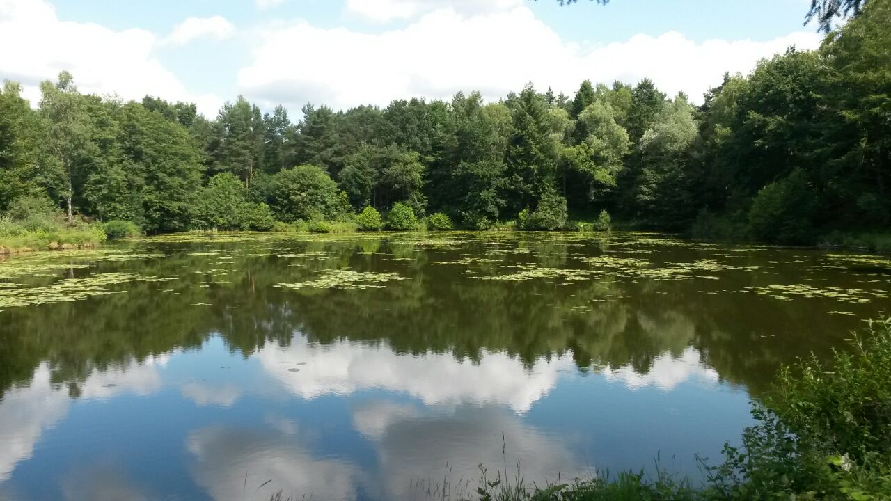 Teich Schlüter ASV Schlangen